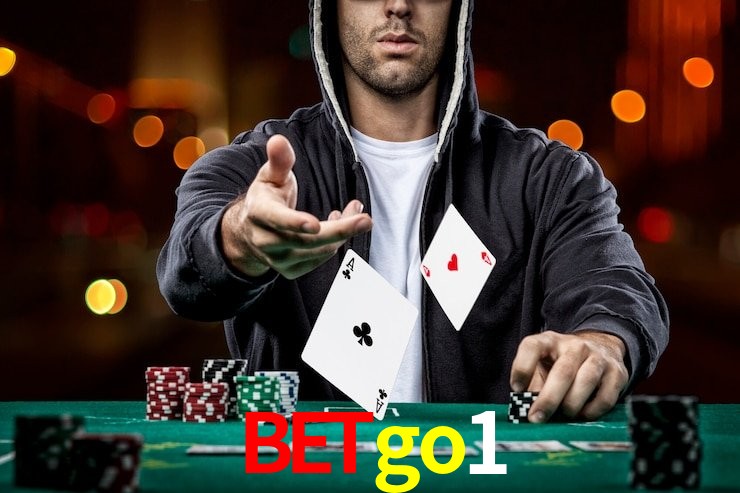 betgo1 App Interface